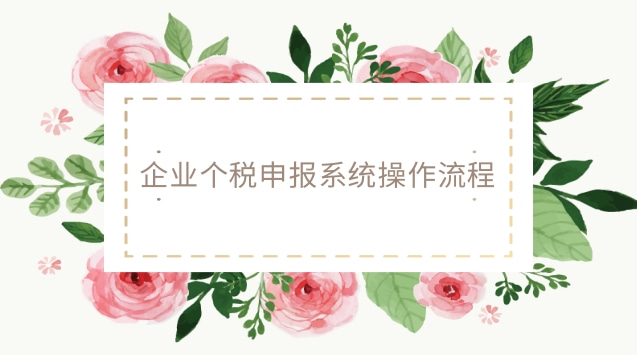 企業(yè)個(gè)稅系統(tǒng)申報(bào)操作流程(個(gè)體戶個(gè)稅申報(bào)的詳細(xì)流程)